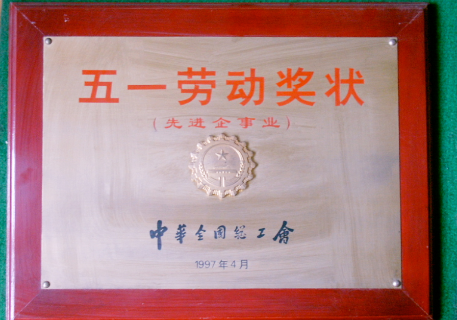 图片6